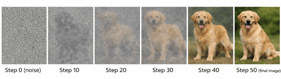 Diffusion Model Denoising Steps: Noise to Final Image of a Golden Retriever Six-step progression showing a diffusion model generating a golden retriever from random noise, from Step 0 (pure noise) through Steps 10, 20, 30, and 40, to a clear photorealistic image at Step 50